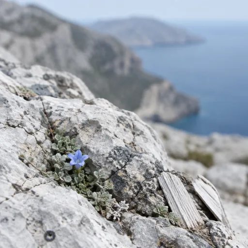 Walking Season: The Mountain Trails That Come Alive When the Islands Empty Out